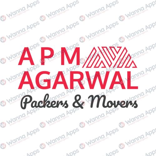 wannaapps-digital-marketing-agency-apmagarwalpackers