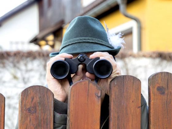 wannaapps - spy-on-your-competitorsa