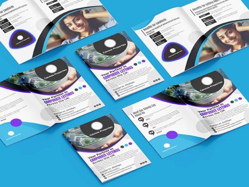 Calvinia Properties - wannaapps.com