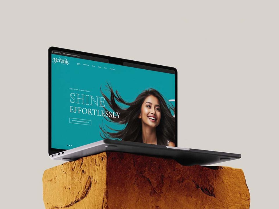 theheronicstore.com